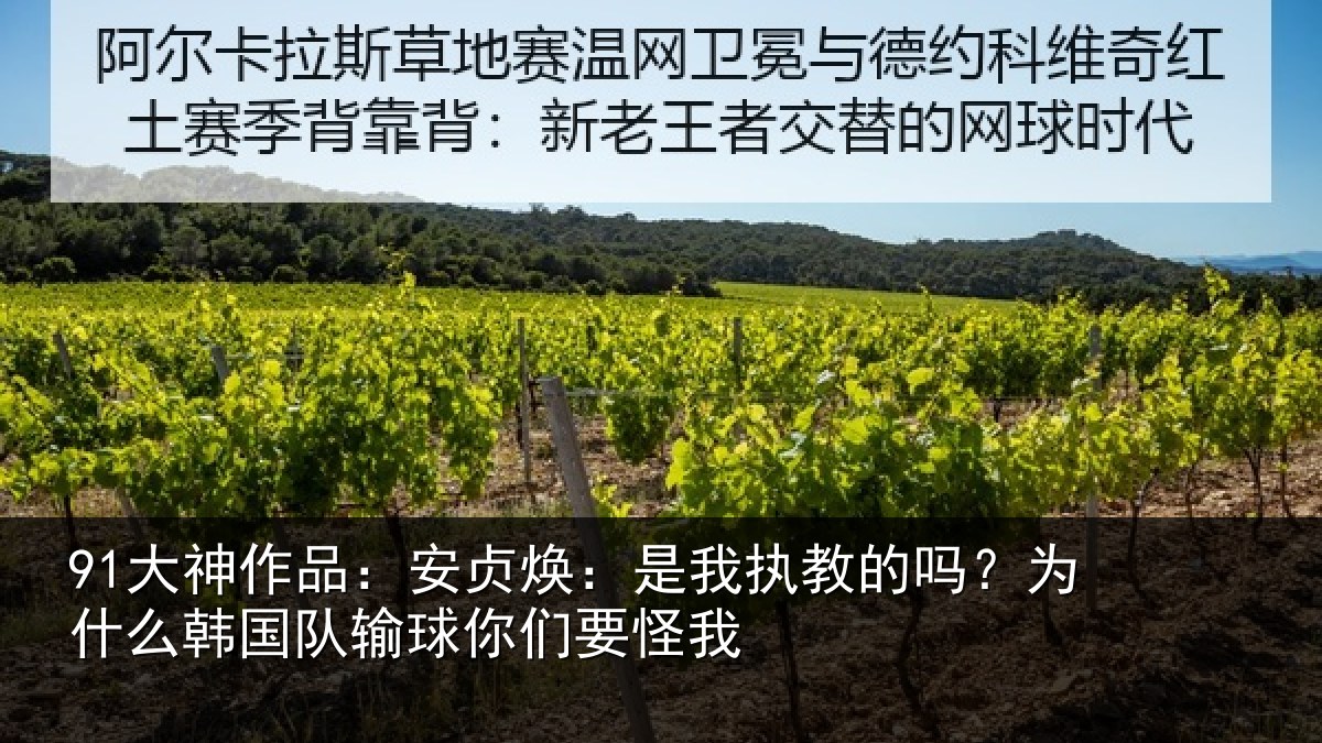 91大神作品：安贞焕：是我相关情况国队输球你们要怪我