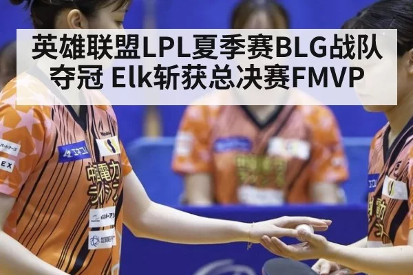 英雄联盟LPL夏季赛BLG战队夺冠 Elk斩获总决赛FMVP
