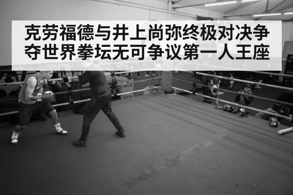 boxer training gym