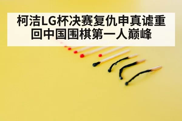 Go professional match