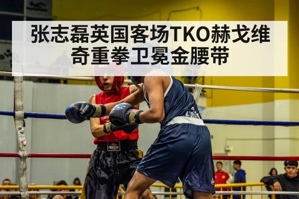 boxer in action