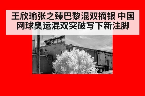 王欣瑜张之臻巴黎混双摘银 中国网球奥运混双突破写下新注脚